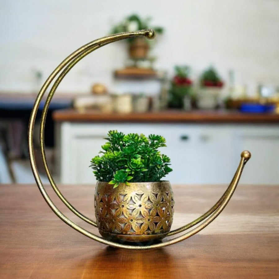 Kraphy Premium Quality Vase Moon Flower Pot Stand