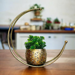 Kraphy Premium Quality Vase Moon Flower Pot Stand